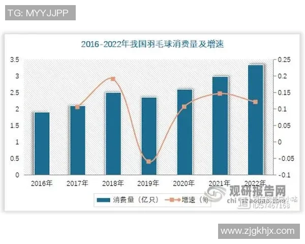 杭州羽毛球队的节奏变革引发热议推动运动发展新趋势